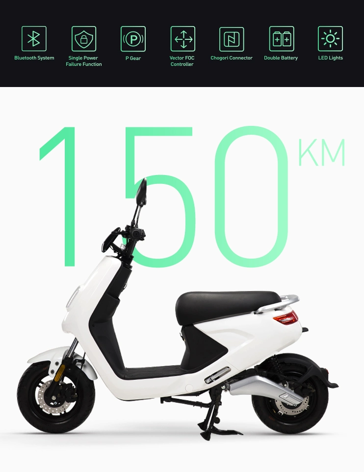 Long Range Adult 1000W 48V Electric Motorcycle Scooter