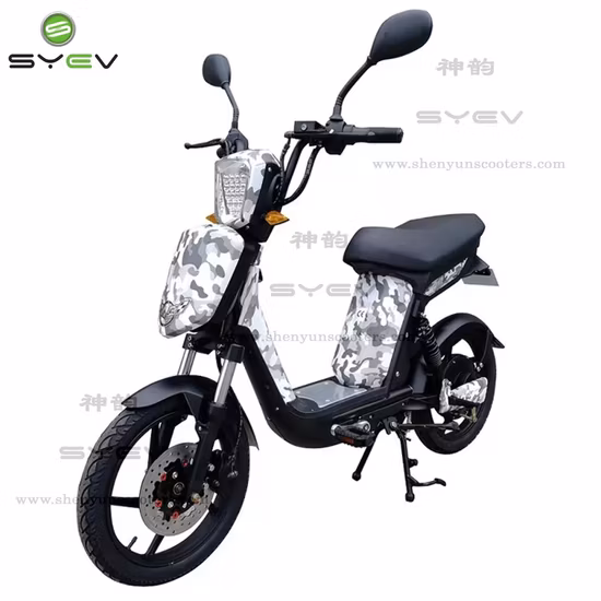 2 roues 500W scooter électrique scooter de mobilité électrique avec plomb 48V12ah