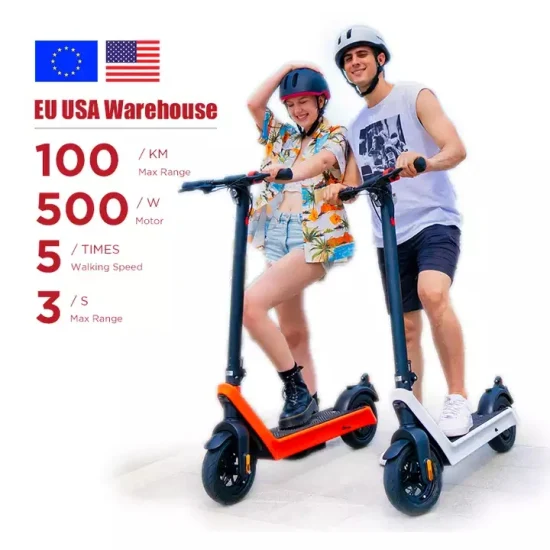EU USA Stock 100 km longue portée 1000 W puissant double entraînement adulte scooter électrique tout terrain 10 pouces pneus pliant scooter électrique pour Suède adulte Raycool