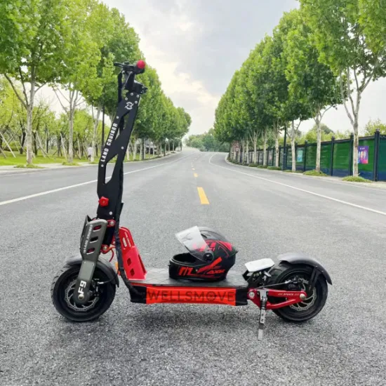 2023 Nouveau scooter électrique à double moteur X2 1000W, vente en gros